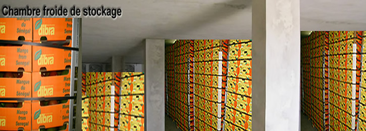 Demo Image
