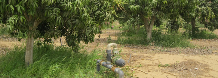 Demo Image